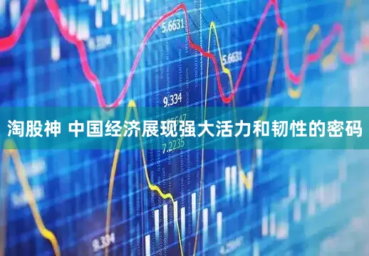 淘股神 中国经济展现强大活力和韧性的密码