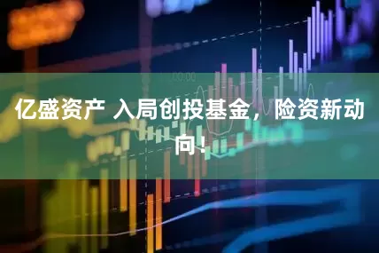 亿盛资产 入局创投基金，险资新动向！