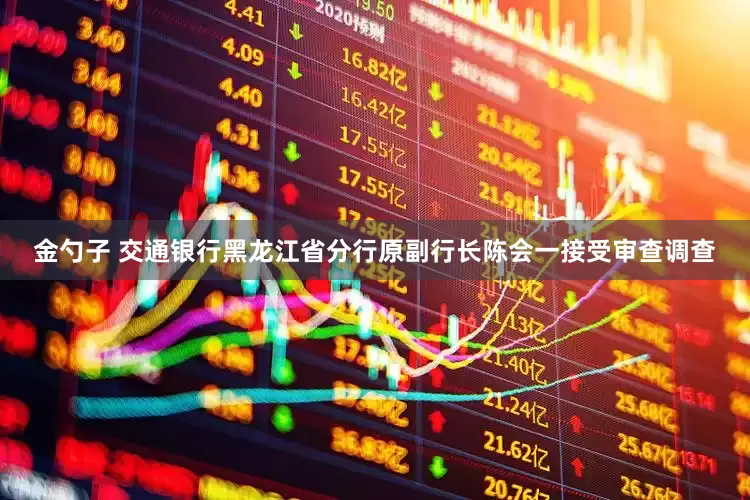 金勺子 交通银行黑龙江省分行原副行长陈会一接受审查调查